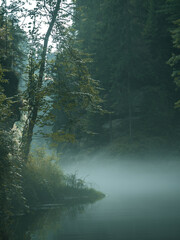 Edmundsklamm - Böhmische Schweiz - Neblige Schlucht mit Wasser - Nationalpark 