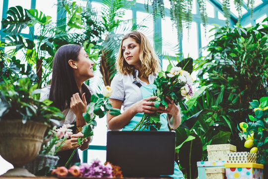 Diverse female gardeners working together in glasshouse