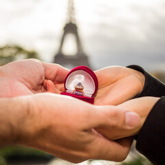 Wedding in Paris concept