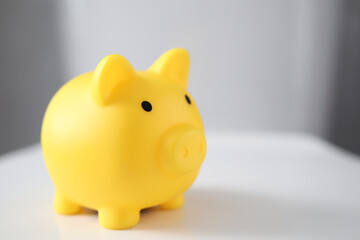 Yellow pig piggy bank natural light (money saving concept)