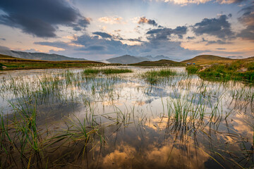 Colle della Lombarda, Piedmont, Italy