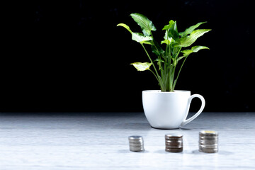 A tree in a white coffee cup A pile of coin currency on the table (financial growth business idea)