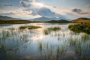 Colle della Lombarda, Piedmont, Italy