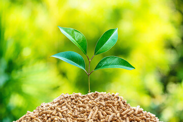 fuel wood pellets with green tree leaf.