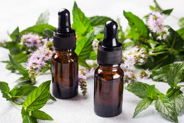 Essential aroma oil in dark glass bottles with peppermint on on a gray concrete background.