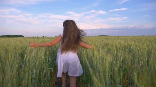 Happy little girl runs through a green wheat field with outstretched arms. A little girl runs towards her dream. Child have fun in the park. Happy child in the park. A chidhood dream. Wheat field