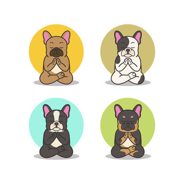 Cute French Bulldog Yoga Pose Namaste