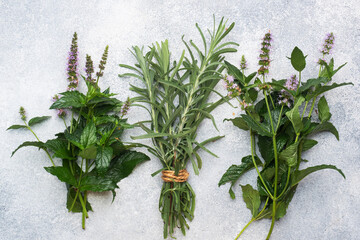 Bunches of fresh sprigs of mint and rosemary. Grey concrete background.