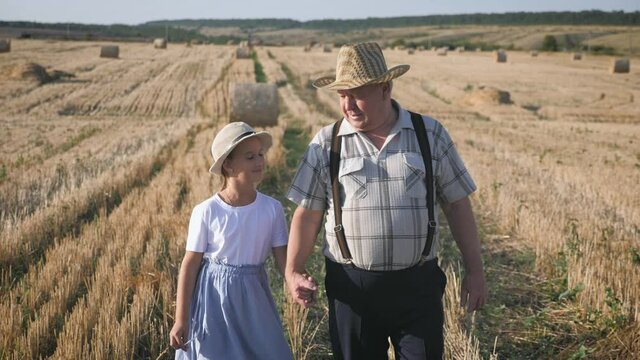 Grandfather and granddaughter walking across the field with haystacks. Farmer grandfather teaches the younger generation.