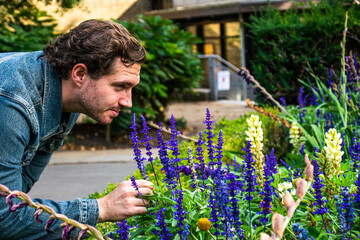 Photo of a young and attractive man with beard wearing a jean jacket and smelling some lavender...
