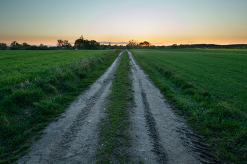 Fototapeta na wymiar Dirt road through green fields, view after sunset