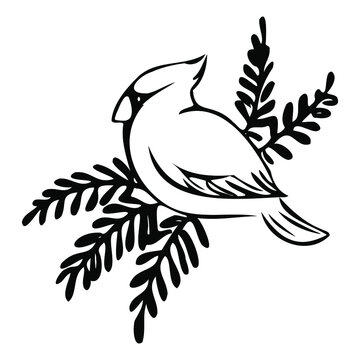 recommend clip art: Cardinal bird on branch clipart doodle style icon. Isolated vector.