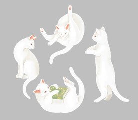 Isolated hand drawn set of white cats on grey background 