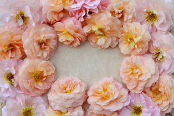 Frame with delicate pink and creamy roses in pastels tones on light  background