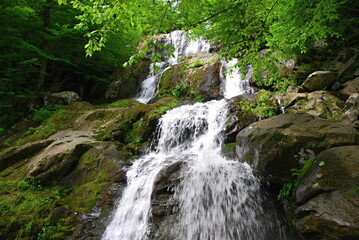 Shenandoah National Park, Virginia