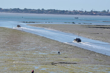 parc à huîtres île d'Oléron