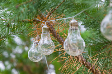 Transparent glass decorative pear-shaped lamps on a garland hung on a coniferous tree with green needles to decorate and consecrate the park at night.