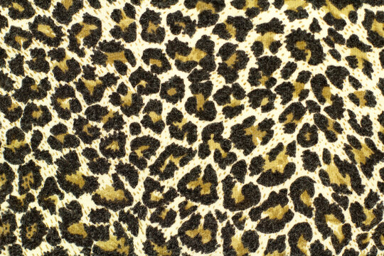 Texture of speckled leopard fabric. Wildlife animal background