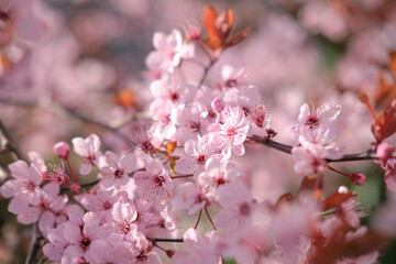 Floral background