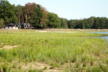 Fototapeta na wymiar Körbaer Teich mit wenig Wasser