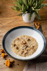 Top view, close up mushroom risotto, appetising texture, magazine photo