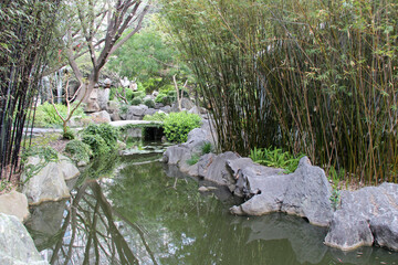 Naklejka na ściany i meble chinese garden in sydney (australia)