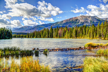 Landscapes of Lake Beauvert in Jasper