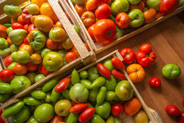 wooden boxes with green, yellow and red tomatoes