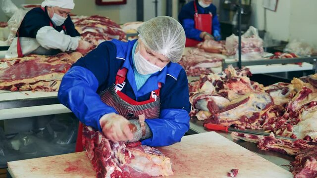 Female employee is working with large meat pieces. Meat processing factory, food production facility.