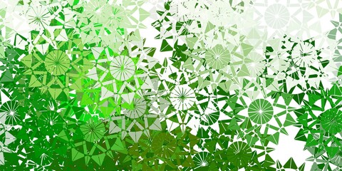 Light green vector beautiful snowflakes backdrop with flowers.