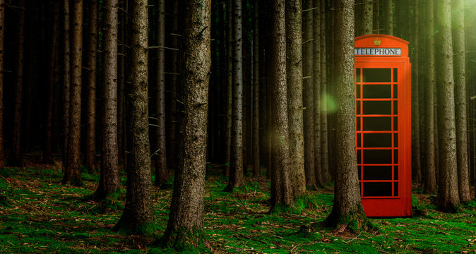 Rote Telefonzelle in einem Wald bei Nacht