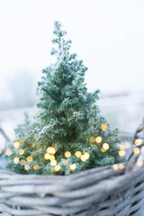 Christmas tree with golden bokeh
Small christmas tree with magical golden bokeh and frosty branches...
