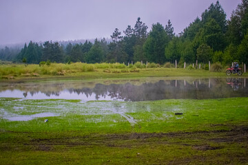 lake in natural forest beautiful landscape