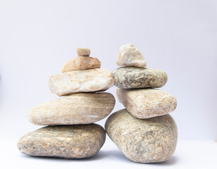 .Scales from a stone isolated on a white background.