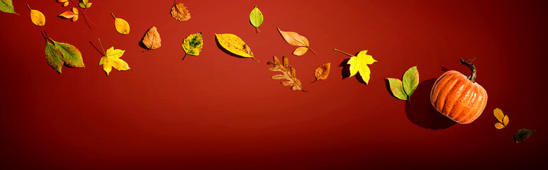 Autumn pumpkin with colorful leaves overhead view - flat lay