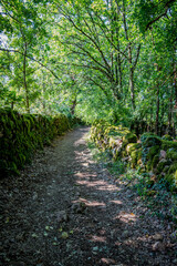 Sur le chemin des Ruines de Taillefer