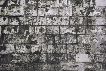 old brick wall white, texture, grunge background