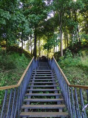 stairway up in the middle of the forest. Long stairs with nobody, temple stairs in the forest