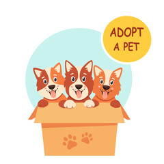 Adopt a pet. Cute puppies in the box. Vector illustration in flat style.