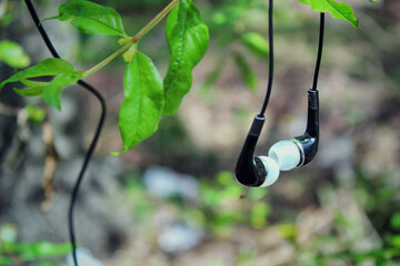 Black in-ear headphones hanging on branches of a tree with green leaves, blurred background, selective focus. - Powered by Adobe