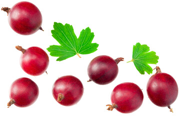 red gooseberry with leaves isolated on white background. Top view.