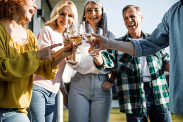 Smiling friends holding glasses while making toast