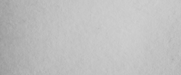 white paper background texture