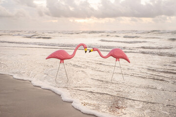 pink flamingos on beach © Brandi Nellis