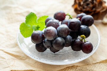 ぶどう　スチューベン