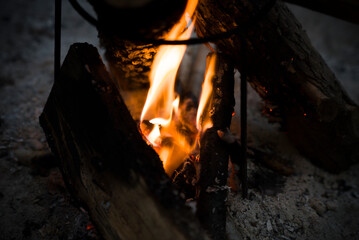 Fototapeta premium FireLog
