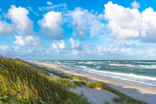Rough sea with waves in autumn or winter, sandy beach and dunes with reeds and dry grass in the morning