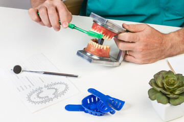 Dentista con dentadura postiza trabajando en su escritorio de la consulta Vista de frente. Concepto: Odontologia Salud