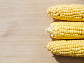 fresh corn on the cob. Flat lay top-down