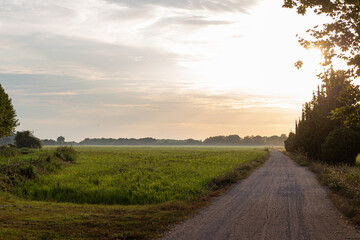 Fototapeta na wymiar Rural gravel path green landscape on a bright sunny sky sunrise scene